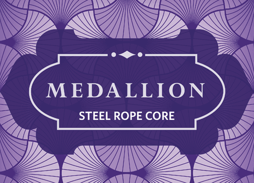 Medallion Steel Strings cover